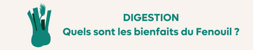 Quels sont les bienfaits du Fenouil