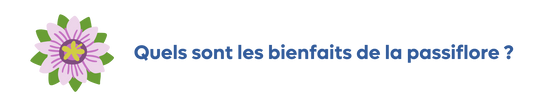 Quels sont les bienfaits de la passiflore ?