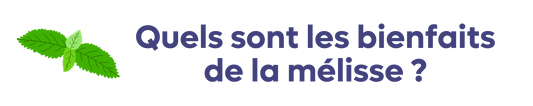 Quels sont les bienfaits de la mélisse ?