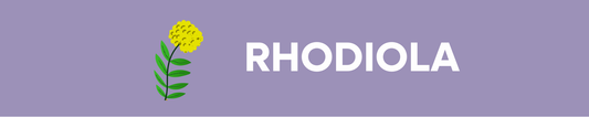 Quels sont les bienfaits de la rhodiole ?