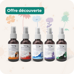 Discovery Pack-Sprays Kids