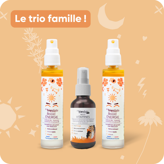 SPRAYS ENERGIE - TRIO FAMILLE